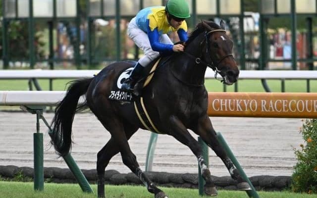 【福島記念見どころ】初コースでも舞台合いそうなフライライクバードが混戦を断つ