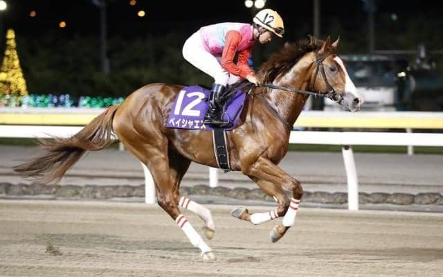 【武蔵野Sどころ】充実期のペイシャエスが重賞連勝に挑む