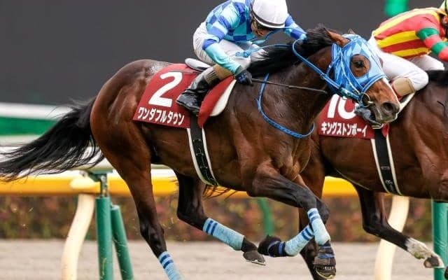 【先週のJRA抹消馬】重賞2勝のワンダフルタウン、19年京成杯覇者ラストドラフトなど