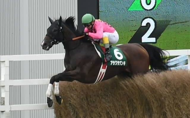 京都JS想定騎手8頭 アサクサゲンキは小牧加矢太騎手、スマイルスルーは高田潤騎手