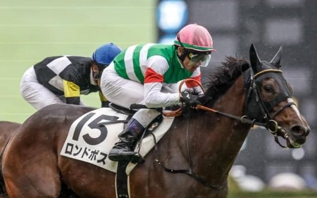 デイリー杯2歳S想定騎手10頭 ロンドボスはCデムーロ騎手、ロヴィーサは幸英明騎手