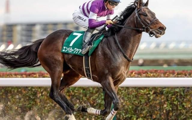 武蔵野S想定騎手18頭 エンペラーワケアは川田将雅騎手、コスタノヴァはC.ルメール騎手