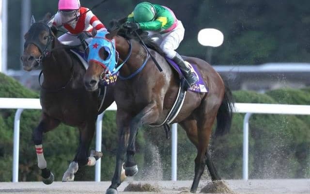 【佐賀・JBCスプリント結果】タガノビューティーが悲願のJpnI初制覇！