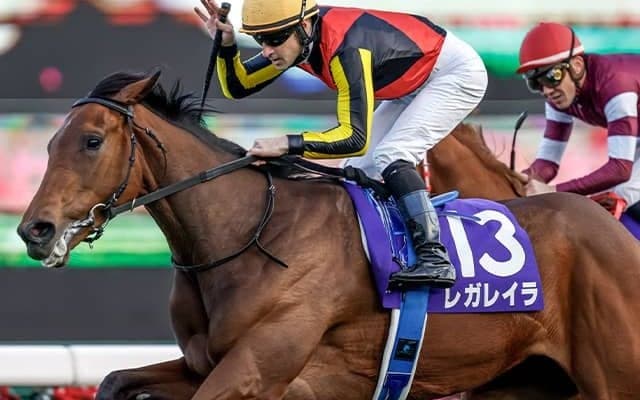 【エリザベス女王杯想定騎手】レガレイラはC.ルメール騎手、ホールネスは坂井瑠星騎手