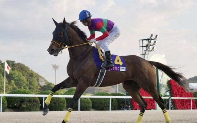 【JBCレディスクラシック】国分優「ちょっとずつどっしりしてきた」テンカジョウは3着