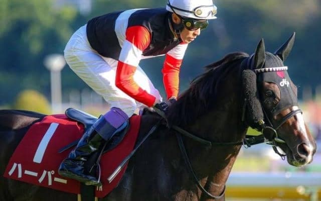 武豊騎手が20年ぶりのエリザベス女王杯制覇なるか 友道厩舎の4歳馬と2戦連続タッグ