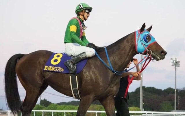 【JBCスプリント】石橋脩「感謝しかない」タガノビューティーが交流G1初制覇