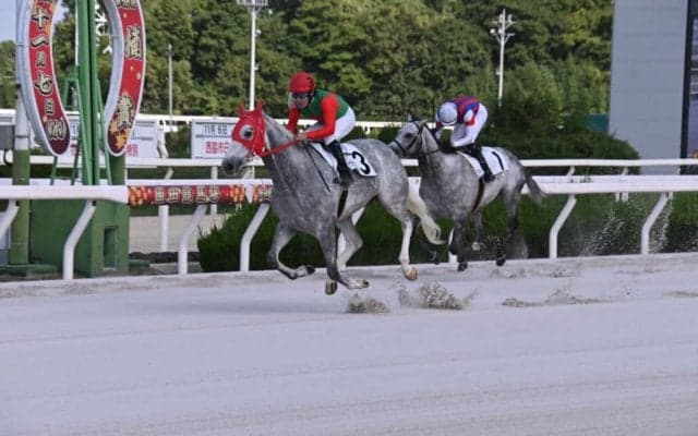 【園田・姫路競馬】芦毛限定戦を実施…Road to Christmas