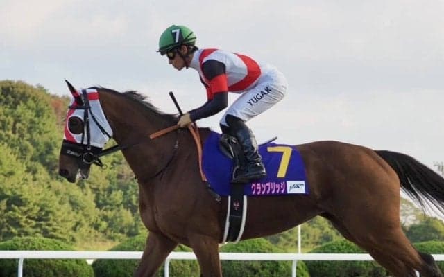 【JBCレディスクラシック】グランブリッジしぶとく伸びるも2着まで…レース後ジョッキーコメント