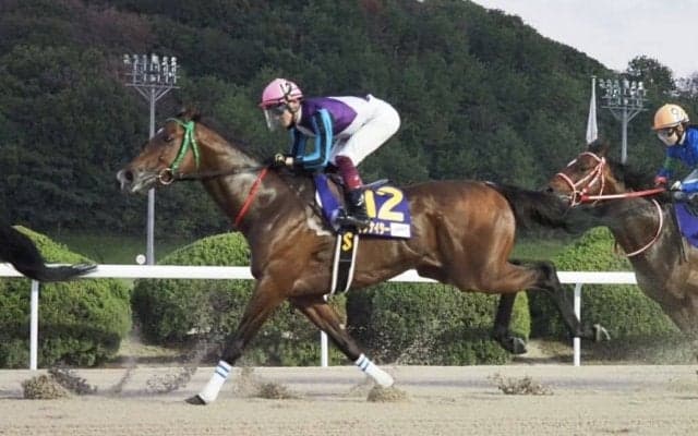 【JBCスプリント】笹川「衰えは感じない」レース後ジョッキーコメント