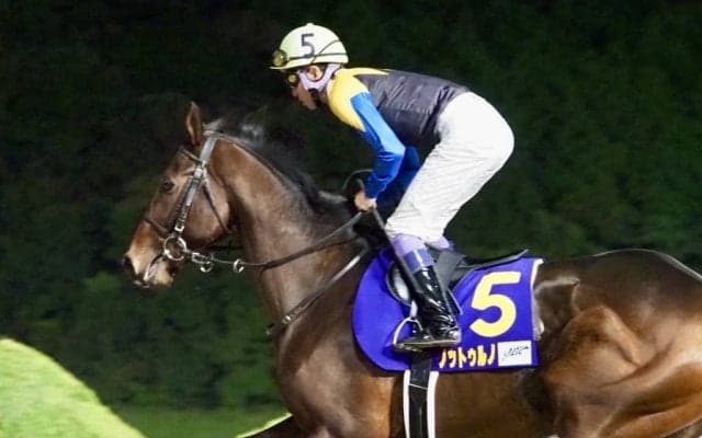 【JBCクラシック】武豊「流れとしては悪くなかった」レース後ジョッキーコメント