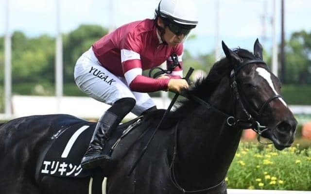 各国で年度代表馬を出す名種牡馬「ダルシャーン」 新たな活力源として注目受ける一頭を深堀り