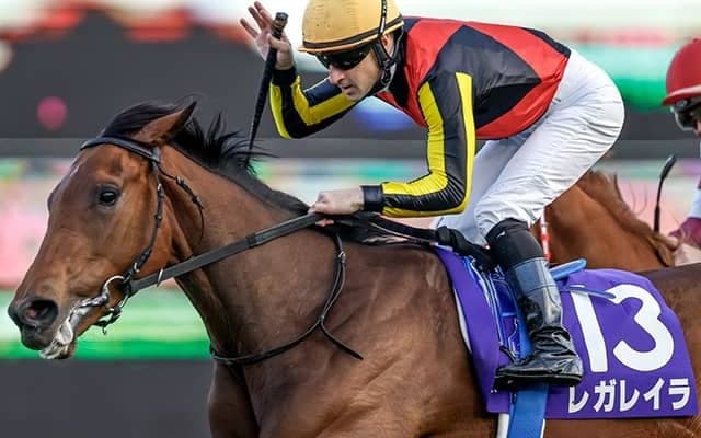 レガレイラに気になるデータ!? エリザベス女王杯の3歳馬過去成績を調べてみると