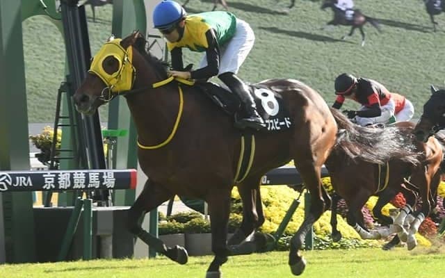 【豪・メルボルンC結果】ナイツチョイスが優勝！日本のワープスピードは僅差2着