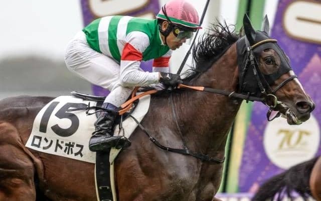 【デイリー杯2歳S予想オッズ】ロンドボスが予想1番人気
