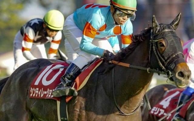 【エリザベス女王杯】「英国の名手」T.マーカンド騎手 シンティレーションでJRA重賞初制覇狙う