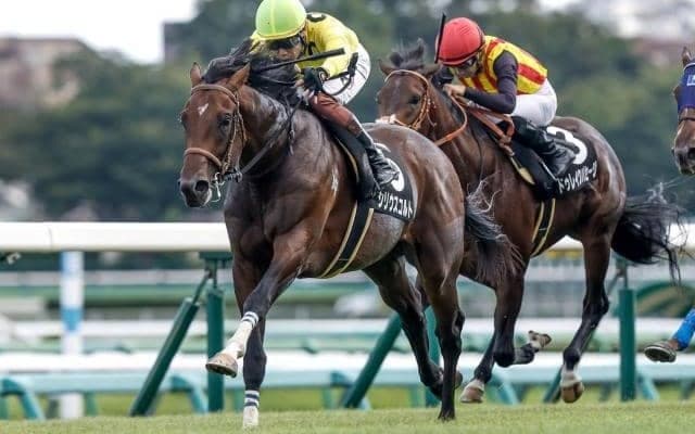 【福島記念予想オッズ】シリウスコルトが予想1番人気