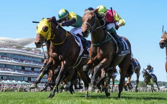 【メルボルンC】菅原明良＆ワープスピードが大健闘！僅かハナ差の2着で大金星逃す