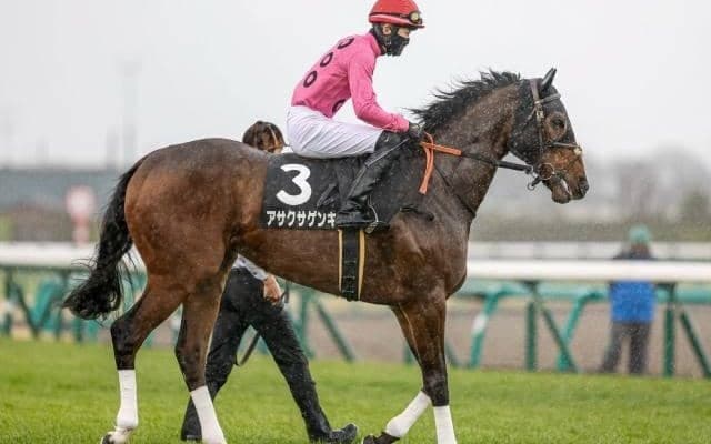 【京都JS予想オッズ】アサクサゲンキが予想1番人気