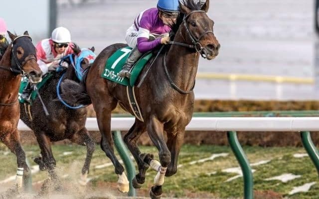 【武蔵野S予想オッズ】エンペラーワケアが予想1番人気