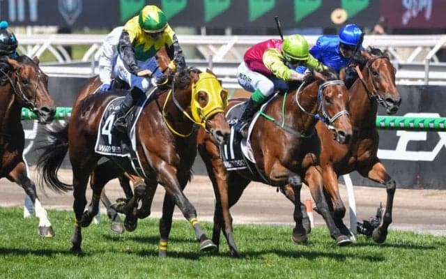 【メルボルンC】菅原明「感謝の気持ちでいっぱい」ワープスピード大健闘2着