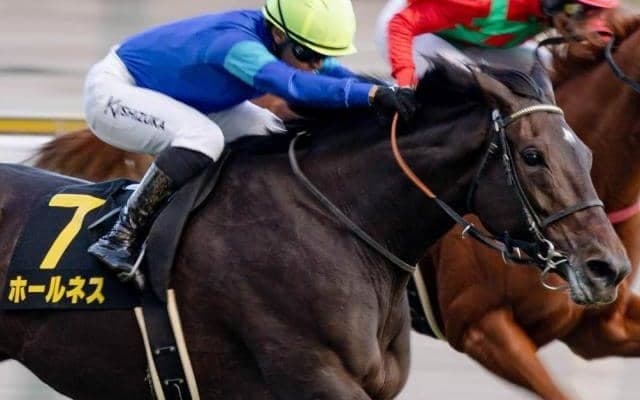 13年ぶり外国産馬制覇へ 6戦4勝の愛国産馬がエリザベス女王杯で戴冠狙う