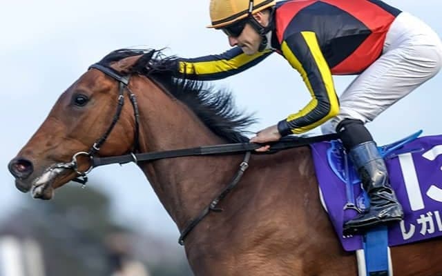 C.ルメール騎手がエリザベス女王杯4勝目へ 近年のJRA牝馬限定GIでは強さも