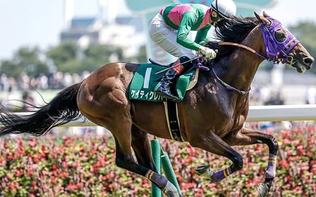 22年東京JS覇者ケイティクレバーが登録抹消 今後は乗馬に