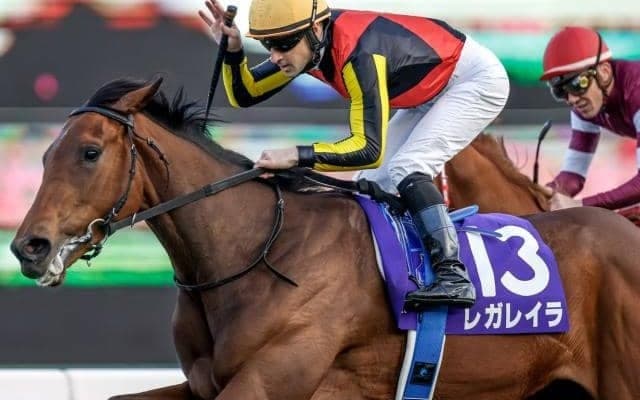 【エリザベス女王杯出走馬・騎手確定】レガレイラ＆C.ルメール騎手、スタニングローズ＆C.デムーロ騎手など17頭