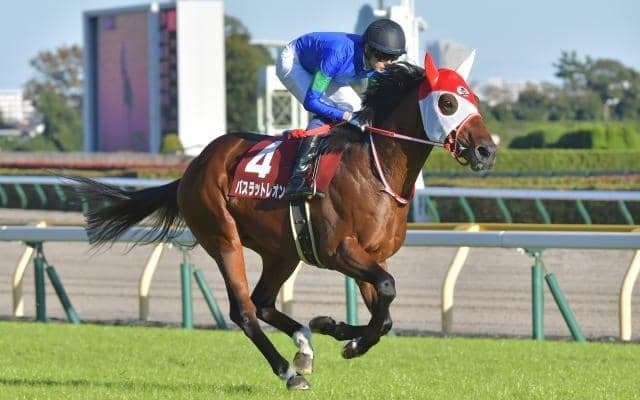 国内外15か所の競馬場を走った重賞3勝馬 バスラットレオンが抹消、種牡馬入り