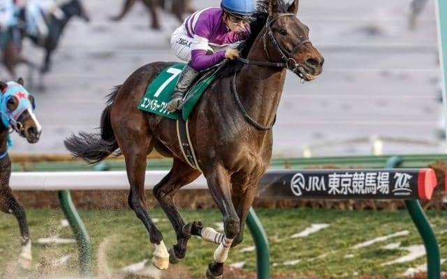 【武蔵野S出走馬・騎手確定】エンペラーワケア＆川田将雅騎手、タマモロック＆R.ムーア騎手など15頭