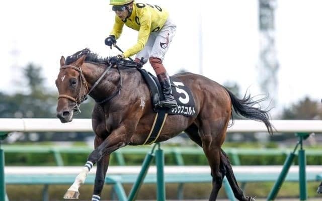 【福島記念出走馬・騎手確定】シリウスコルト＆高杉吏麒騎手、ドクタードリトル＆幸英明騎手など16頭