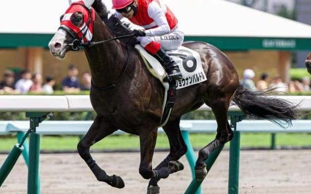 伯父にGI馬持つセレクト3億円ホース 黄菊賞で連勝狙う