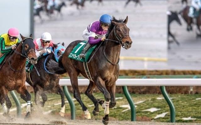 【武蔵野S枠順確定】エンペラーワケアは6枠10番、タマモロックは7枠12番