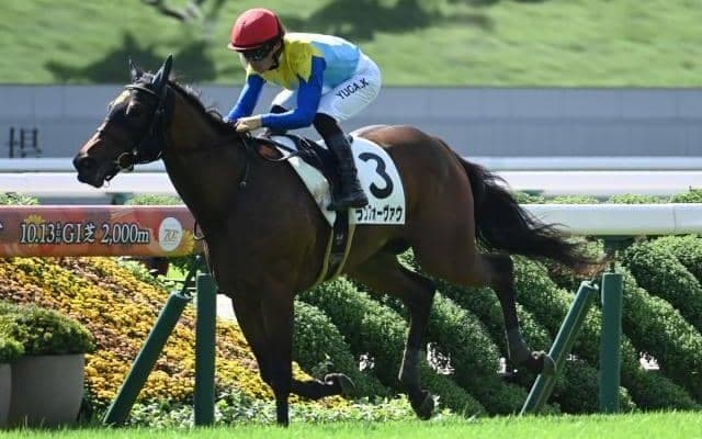 【デイリー杯2歳S枠順確定】ランフォーヴァウは5枠5番、ロヴィーサは7枠7番