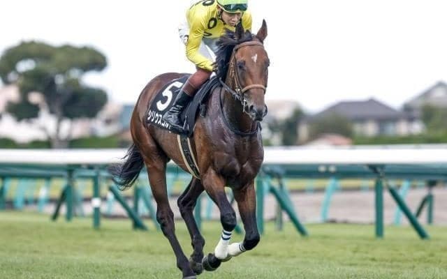 【福島記念枠順確定】シリウスコルトは8枠16番、ドクタードリトルは2枠3番