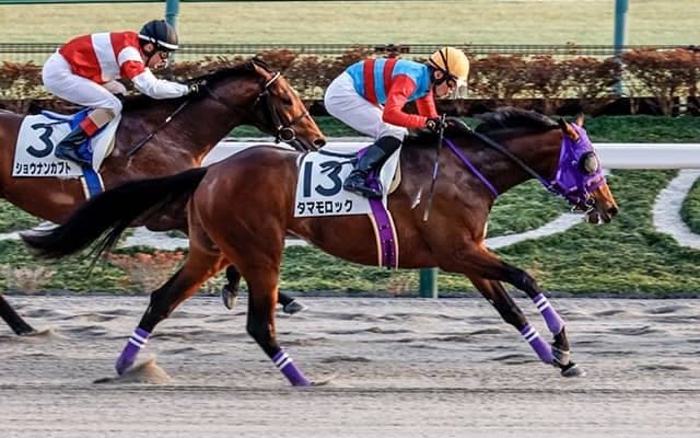【武蔵野S予想】関西馬が圧倒的な良績を残す！ 関東馬はGIでも通用する能力が必要不可欠