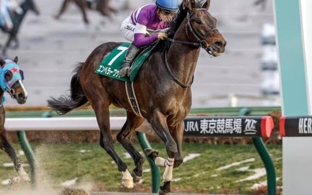 【今日の注目ポイント】東京で武蔵野Sと京都ではデイリー杯2歳Sと京都JS