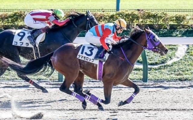 【武蔵野S予想】チャンピオンズCにはつながりにくい？ 「東京ダ1600m」への適性が勝負を分ける