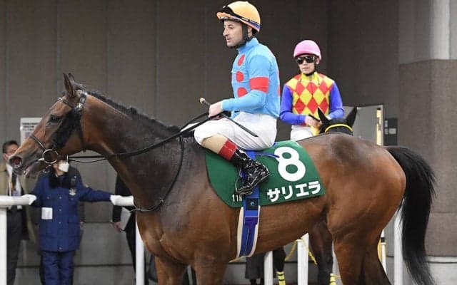 【競馬血統予想】GⅠエリザベス女王杯と相性がいいディープインパクトの血　重賞初勝利を目指す２頭が注目