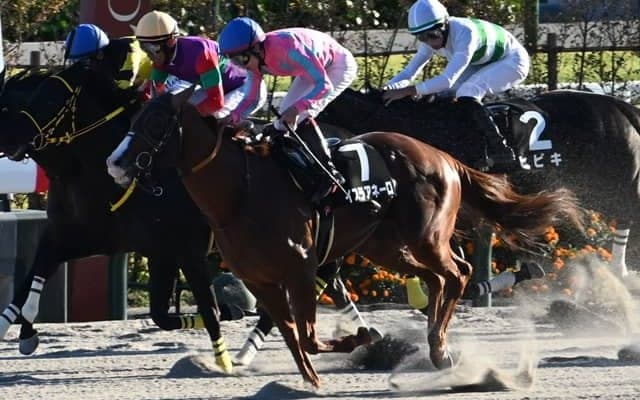 【室町S結果】12番人気イスラアネーロがゴール前で差し切りV