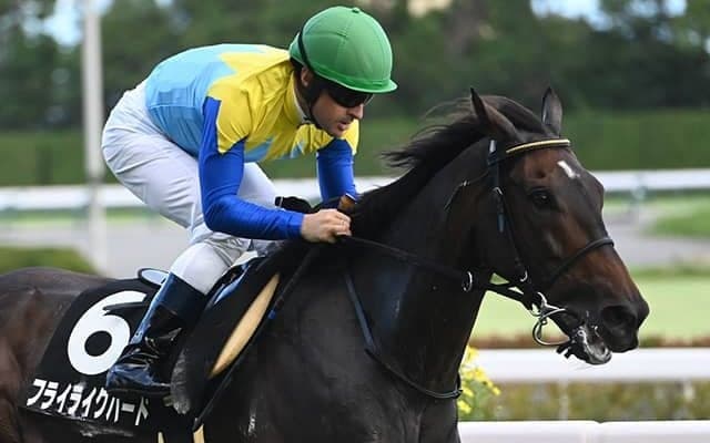 【福島記念予想】幅広い世代が活躍するも高齢馬は苦戦傾向 7歳以上の馬は前走のレース格や内容が重要