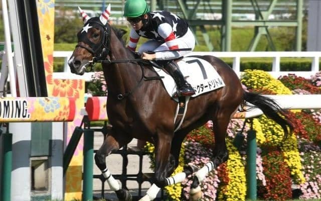 【福島記念前日オッズ】ドクタードリトルが4.9倍で1番人気