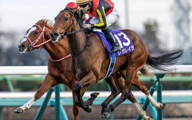 【エリザベス女王杯前日オッズ】レガレイラが1.9倍で1番人気