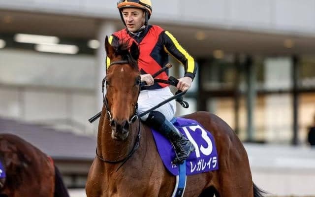 【AI予想・エリザベス女王杯】4歳馬中心も3歳馬に見逃せないデータあり！ 本命は近走の敗因が明確なGIホース