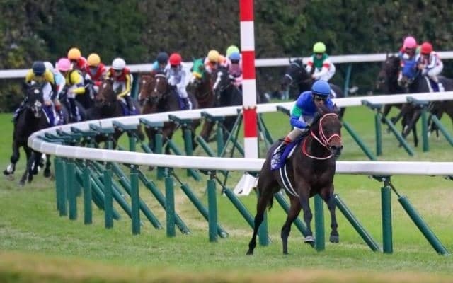 半兄は二刀流の名馬パンサラッサ マードラドが芝マイルで初陣だ