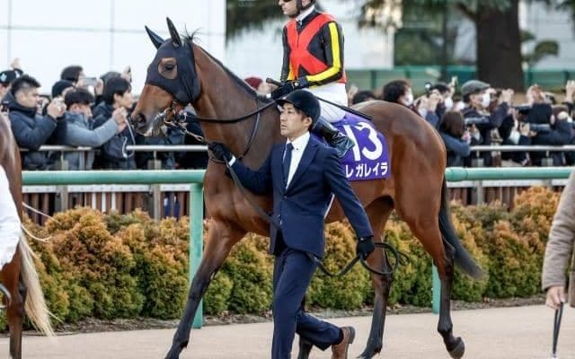 【今日の注目ポイント】京都で女王決定戦・エリザベス女王杯