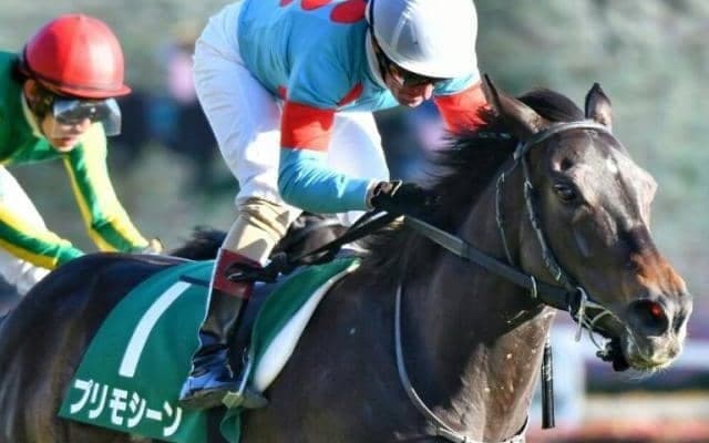 セレクト3億円の超良血 コジオスコがルメール騎手で初陣V狙う