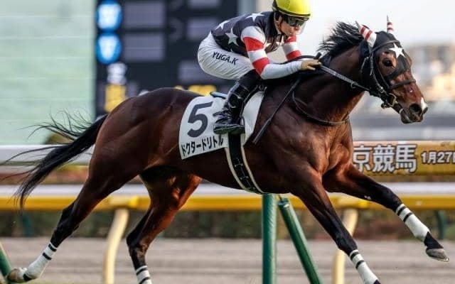 【福島記念予想】秋の福島開催の目玉重賞 ハンデ×フルゲートで一筋縄ではいかず