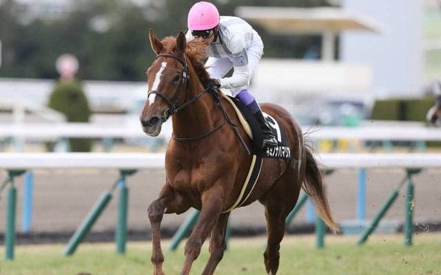 【競馬予想】ＧＩエリザベス女王杯は特大万馬券も夢ではない--高額配当の使者はこの２頭